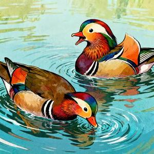 鸳鸯戏 (Cover 邓寓君 (等什么君))