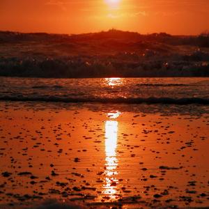 Days Of The Dispaired