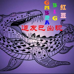 道友已出现