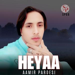 Heyaa (Kohistani New Song) (feat. Aamir Perdasi)