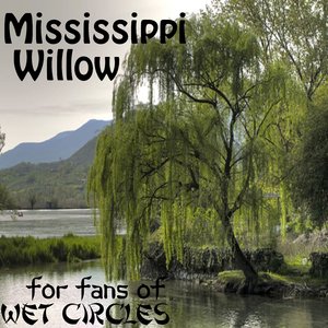 Mississippi Willow