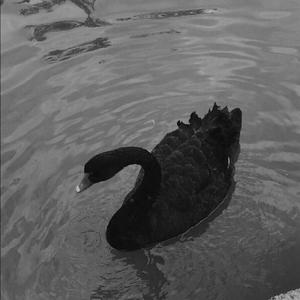 Antoine Chambe-Easy Come(0.8X)