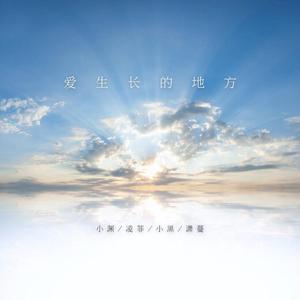 爱生长的地方(为武汉加油抗击疫情公益歌曲)