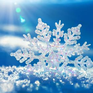 忘不掉你眼中的泪花