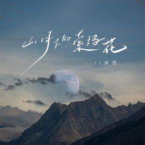 山月下的索玛花 (伴奏)