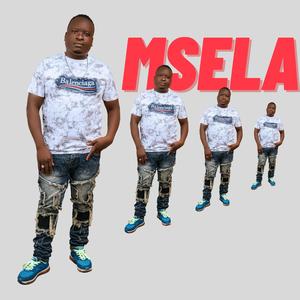 MSELA
