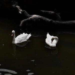 XXXTENTACION-changes (Bass Boosted)（SKGYR remix）