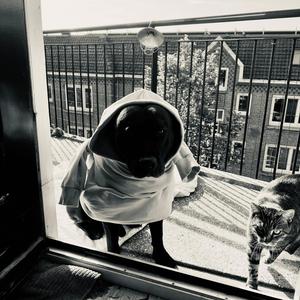 Zondagochtend (feat. Mies)