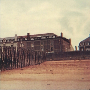 Hey You Bastards I'm Still Here