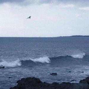 她不是(cover :big year大年）