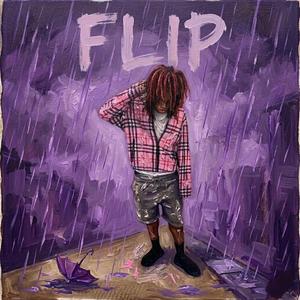 Flip