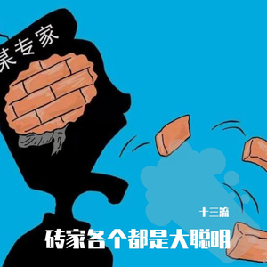 砖家各个都是大聪明 伴奏