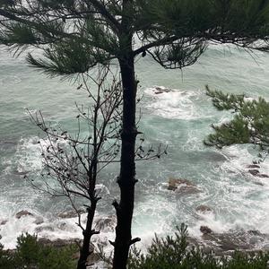 土耳其进行曲 吉他音樂