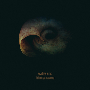 Searching for the Hopeful Heart