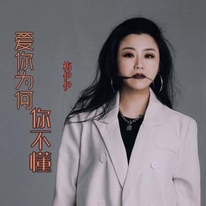 爱你为何你不懂