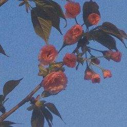 这一生关于你的风景