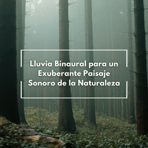 Oasis Relajante Para Un Día Lluvioso