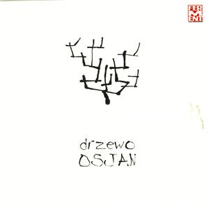 Zielone Liście Palm Błękitne Fale / Green Palm Leaves Blue Waves