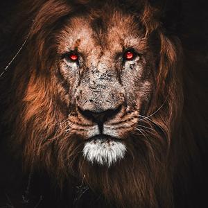 Want U 2 Stay (Radio Edit)