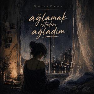 Ağlamak istedim ağladım.