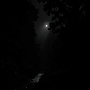Echoes In The Dark