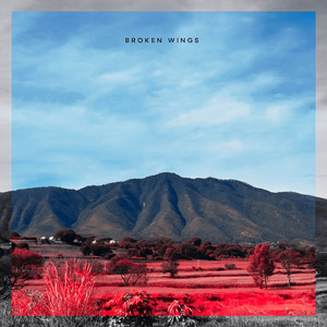 Broken Wings (Remix)