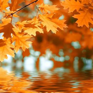 灯下昏黄的剪影