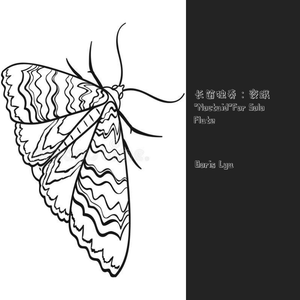 长笛独奏：夜蛾（"Noctuid"For Solo Flute）