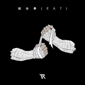 组合拳 (EA7)