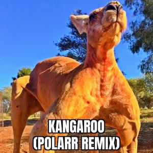kangaroo (POLARR Remix)