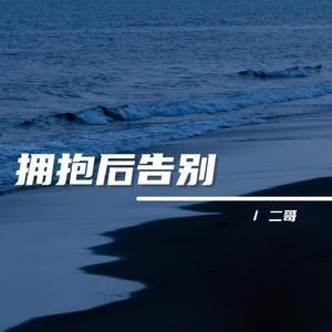 拥抱后告别