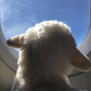 偷跑青春（Demo）