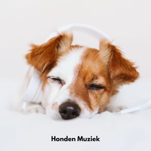 Zen Hondenlandschap Melodie