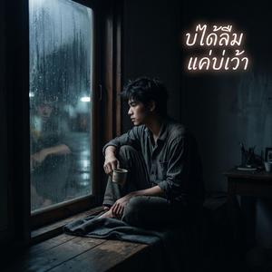 บ่ได้ลืมแค่บ่เว้า (Official Audio)