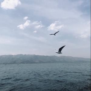 到底怎么样才算自由呢