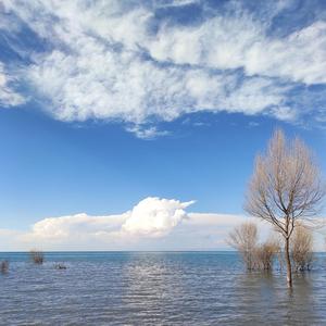 XXXTENTACION-the remedy for a broken heart(Remix)（风雨 remix）