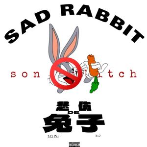 悲伤的兔子（prod by.4Harry）