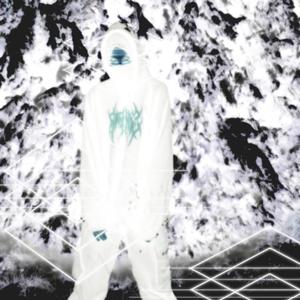 vanish (feat. KYOKOSGARDEN & hap)