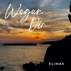 Wegen Dir