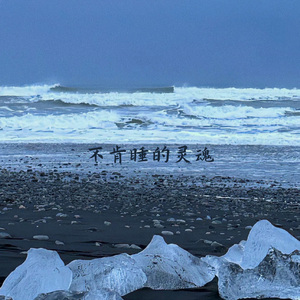 不肯睡的灵魂