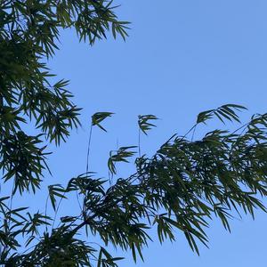 我会在每个有意义的时辰