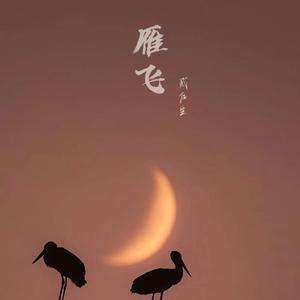 雁飞 贰后生