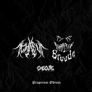 Proprium Odium