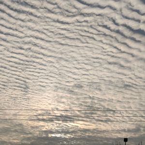 琴韵传情-音频1