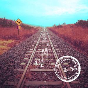 下終南山過斛斯山人宿置酒