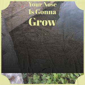 I Got a Rocket in My Pocket