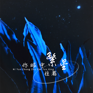 你眼中住着繁星