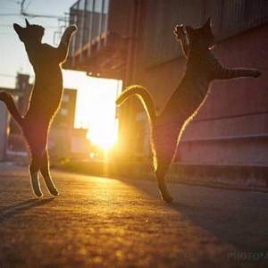 Theme For rainy Day