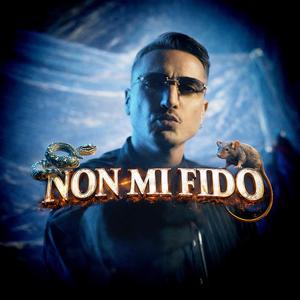 NON MI FIDO