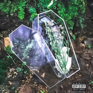 GLASS COFFIN